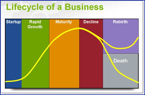 Company-Life-Cycle